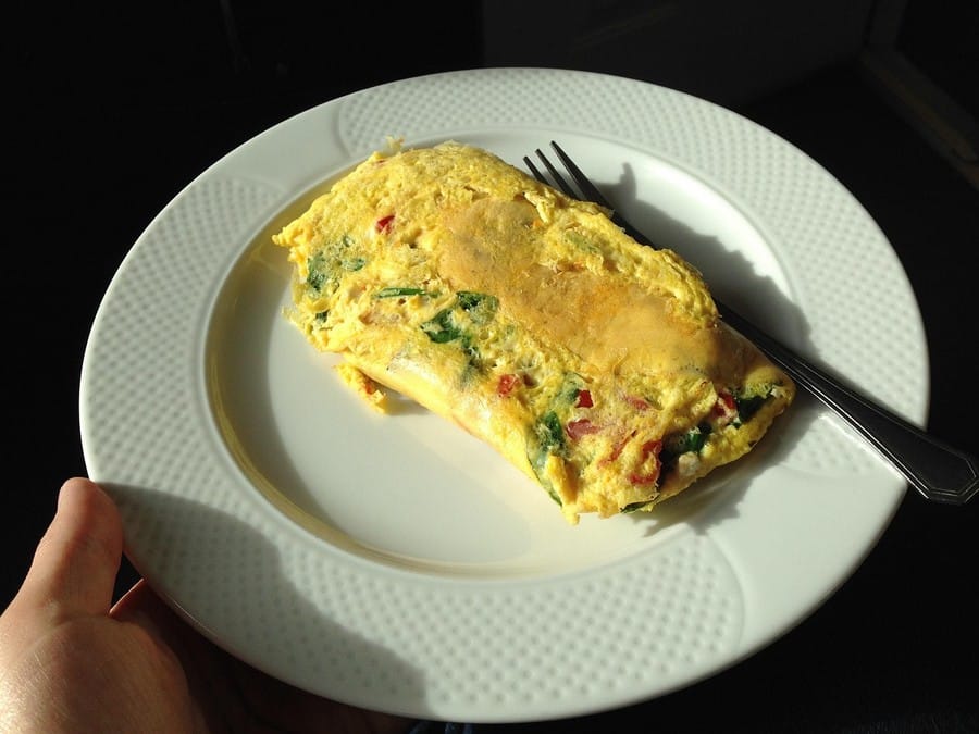 Pessoa segurando prato com omelete de micro-ondas com queijo e presunto, feito no micro-ondas, apresentado num prato branco com garfo ao lado.